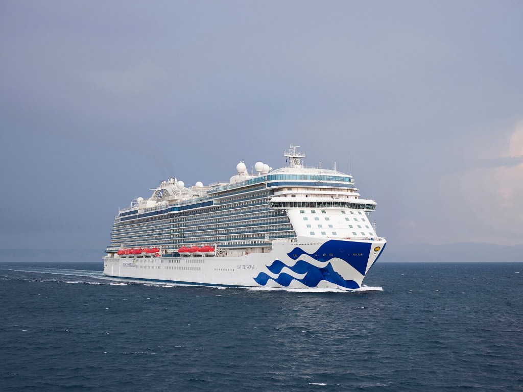 Princess Cruises unveils new on-demand feature on MedallionClass&nbsp;Holidays