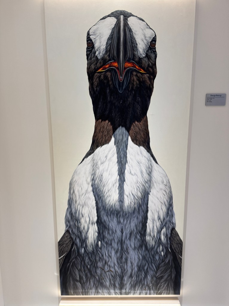 Artwork on board National Geographic Endurance