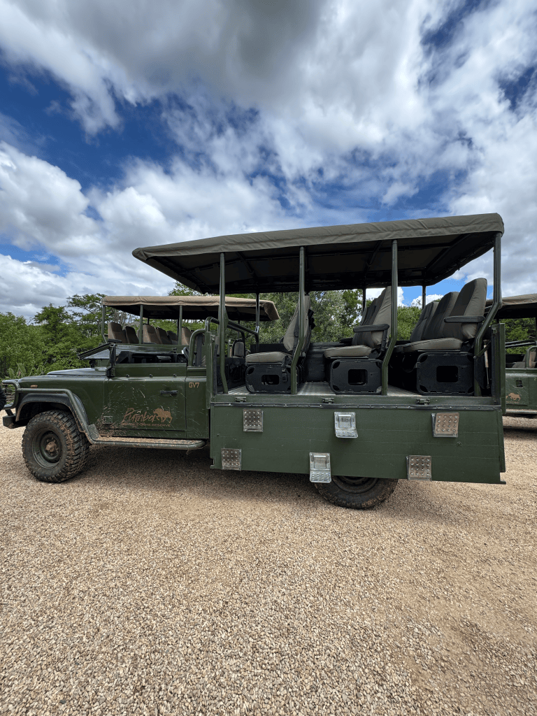Safari Jeep
