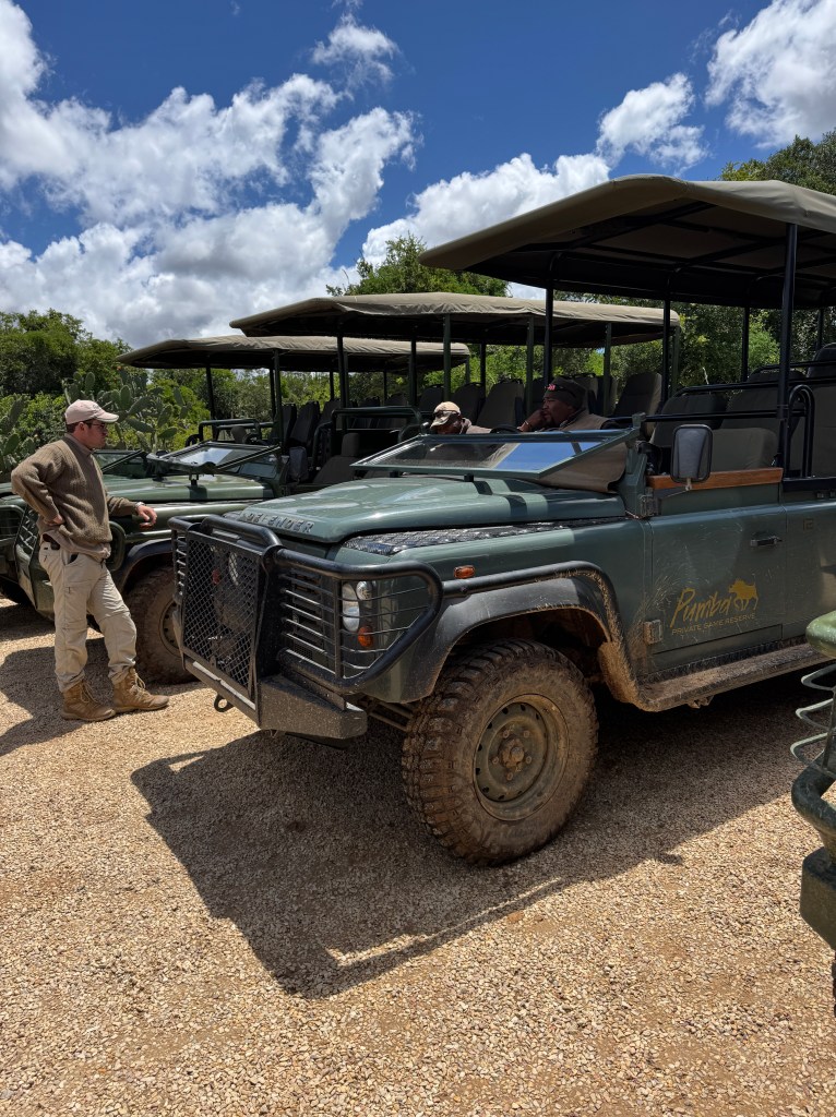 A view of the front of a Safari Jeep