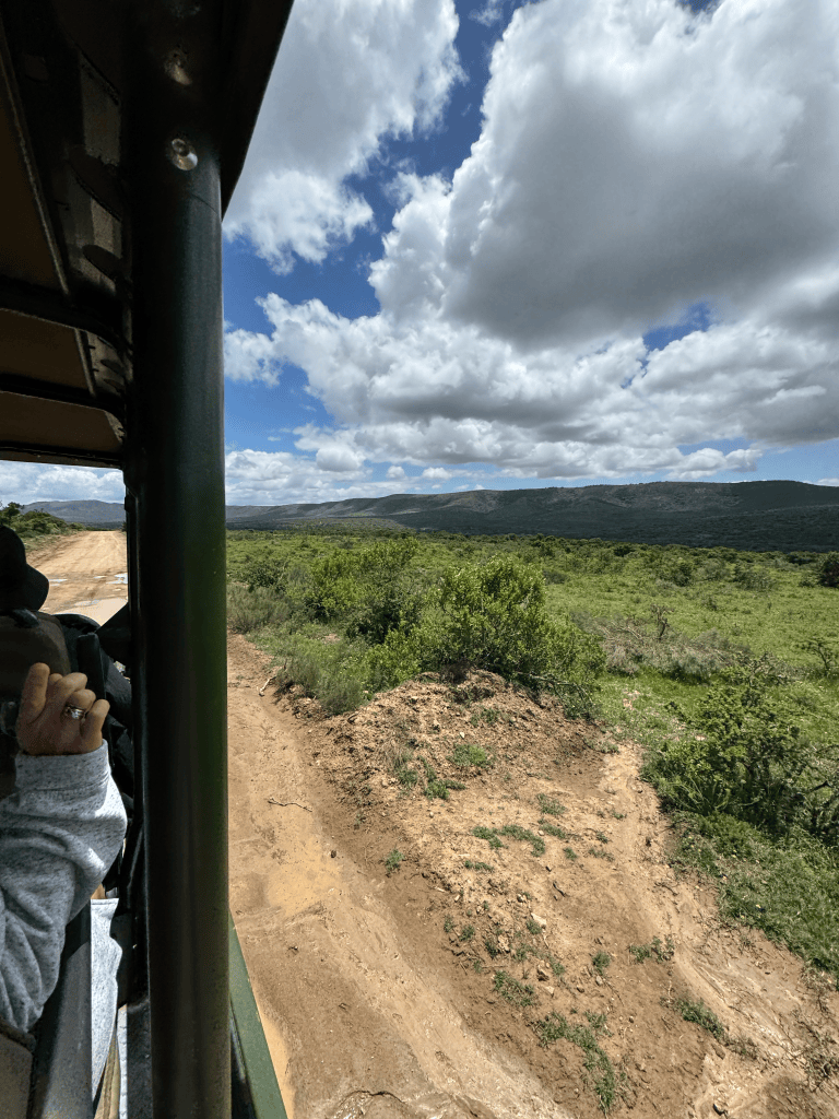 Views out of the open side of the Safari Jeep looking out over the Game reserve.