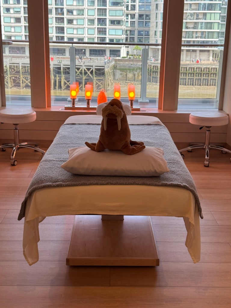 A treatment room on board National Geographic Endurance